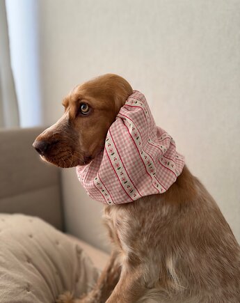 Snood dla psa ochraniacz na uszy