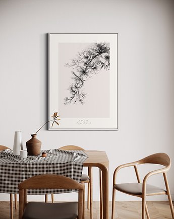 Sakura / Fine Art Print