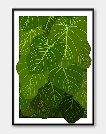 Plakat Roślina - FILODENDRON