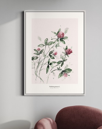 Koniczyna /print