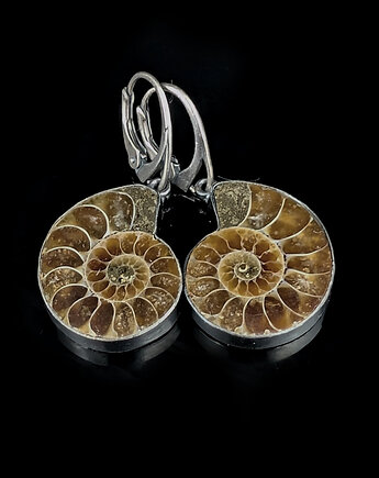 Kolczyki srebrne fossil- Pradawne amonity