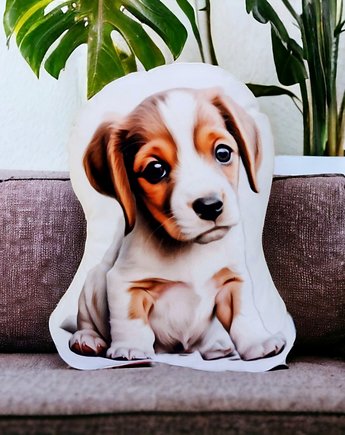 Poduszka piesek przytulanka z pieskiem pies maskotka pies jack russel
