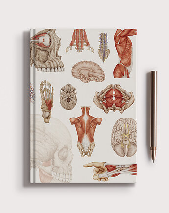 Notes Anatomiczny B5