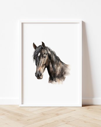 Plakat Portret Konia P199