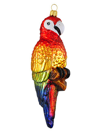 Papuga