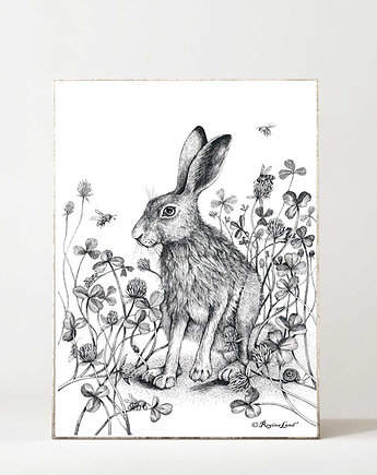 Zając w koniczynie