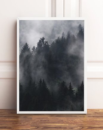 PLAKAT  czarno biały LAS WE MGLE poster góry