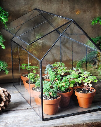 Mini szklarnia Windowsill Forest