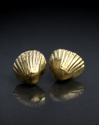 Shell/stal chirurgiczna/