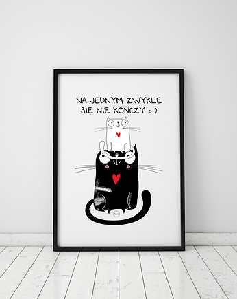 Plakat z kotem. Na jednym zwykle się nie kończy