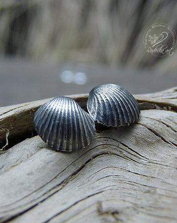 Scallop Earrings