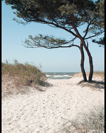 Plakat "Piaszczysta ścieżka na plażę"
