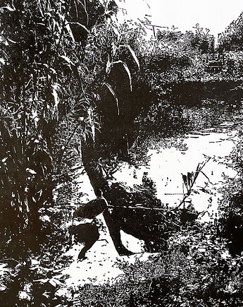 Linoryt "Cisza"
