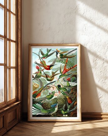 Ernst Haeckel plakat,  grafika vintage, ptaki obraz, sztuka ścienna