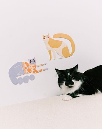 Plakat Rolls the cat - dekoracja ścienna