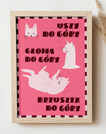 Plakat Kotki do góry