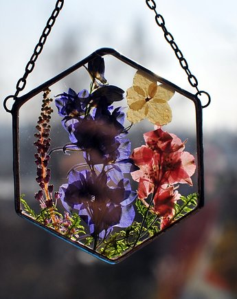 Botaniczny Obrazek, MARIAELA