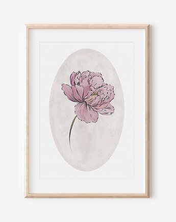 Plakat botaniczny - PIWONIA