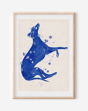 Plakat - Konstelacja Wielki Pies - CANIS Major