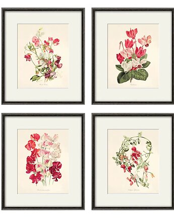 Zestaw Grafik Botanicznych Vintage