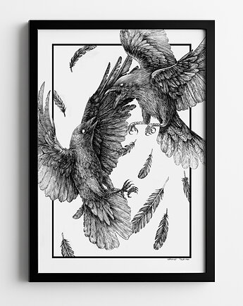 Plakat Kruki