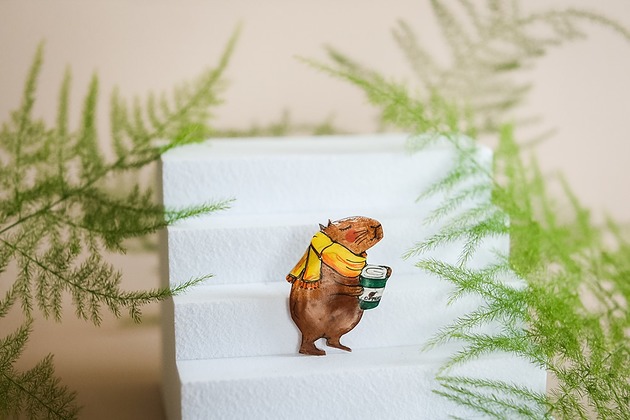 broszki Broszka z kapibaristą Stanisławem