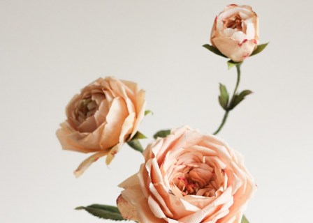 bibula-blooms-sklep.jpg