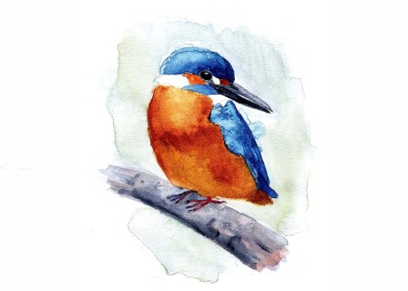 warsaw-birds-kontakt.jpg