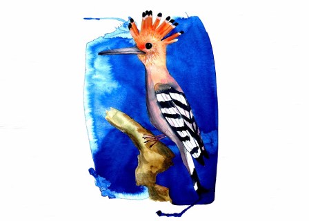 warsaw-birds-sklep.jpg